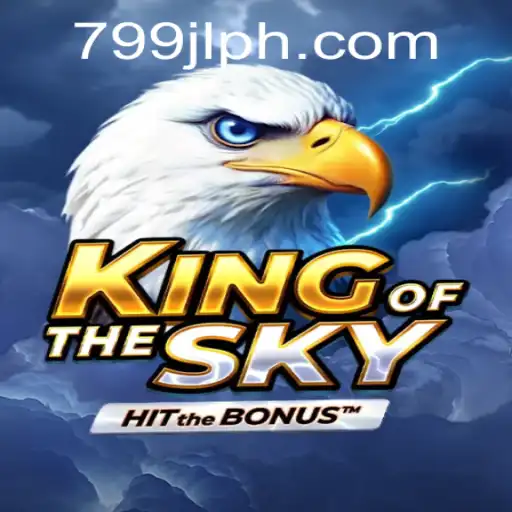 KingOfTheSky: Exploring the Skies with 799JL